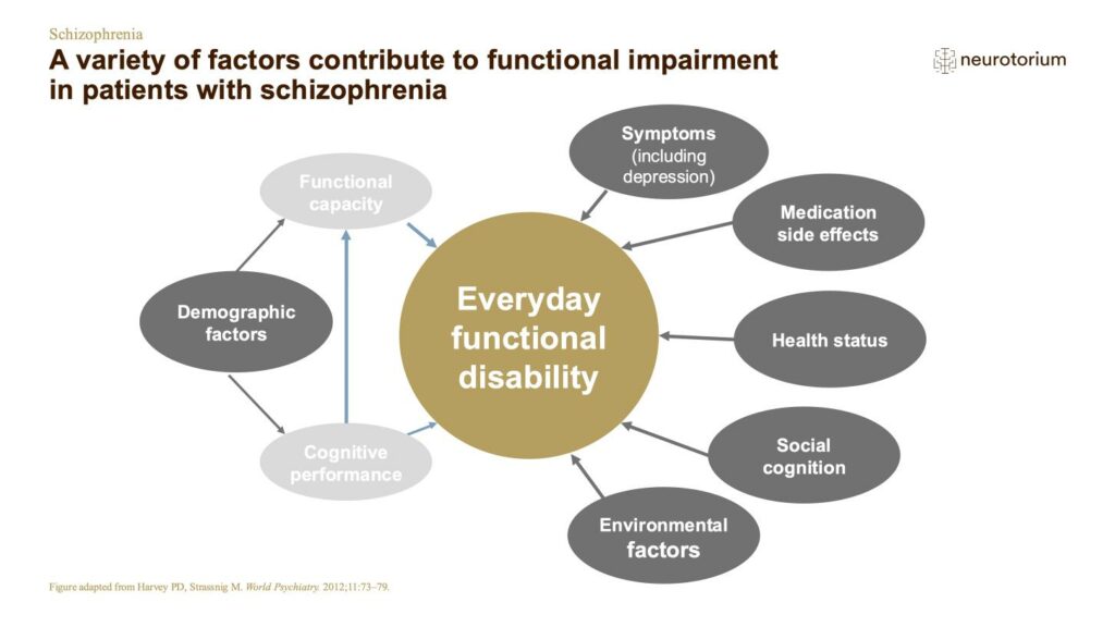 A variety of factors contribute to functional impairment in patients with schizophrenia